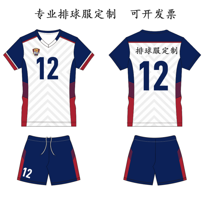 新款排球服定制男女学生速干专业