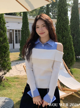 WOU WEII 無尾-高端设计感小众独特绝美露肩针织衫女针织衫