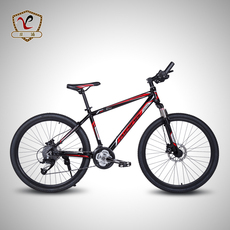 Déco pour vélo - Ref 2282557 Image 6