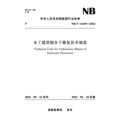 水工建筑物水下修复技术规范 NB/T 11669—2024