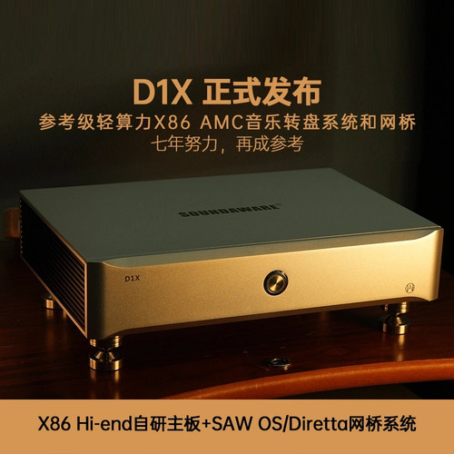 享声D1X参考级音乐网桥