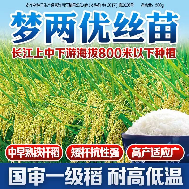 梦两优丝苗稻谷种孑高产杂交水稻种子超级抗倒抗病常规长粒米质好