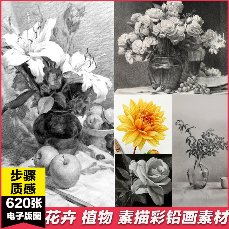 花卉植物百合玫瑰素描步骤彩铅手绘画画临摹联考校考考研图片素材