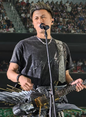 谢霆锋进化演唱会同款短袖T恤衣服复古水洗做旧重磅纯棉银应援服