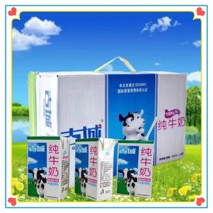 【山西特产】古城纯牛奶新鲜日期生牛乳250ml盒装*20盒营养牛奶