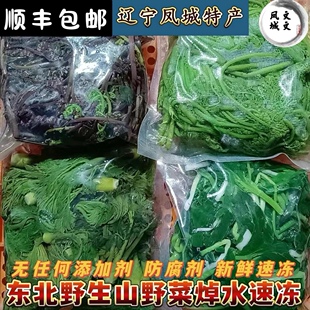 东北野生新鲜山野菜刺嫩芽刺五加大耳毛猴腿菜柳蒿芽山杂菜速冻菜