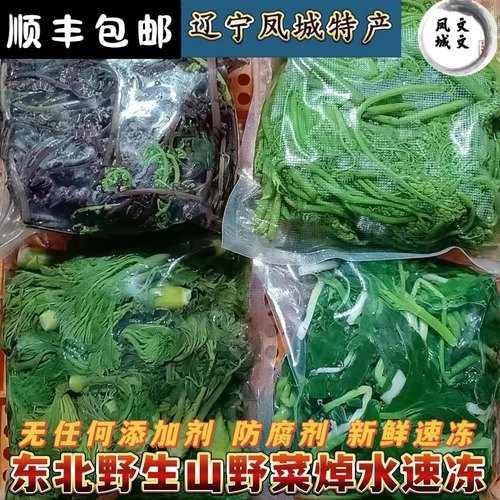 东北野生新鲜山野菜涮锅菜刺嫩芽刺五加大耳毛柳蒿芽野菜焯水速冻