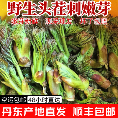 东北特产新鲜茬刺老芽山野菜野生刺嫩芽蘸酱菜现采现发包邮顺丰