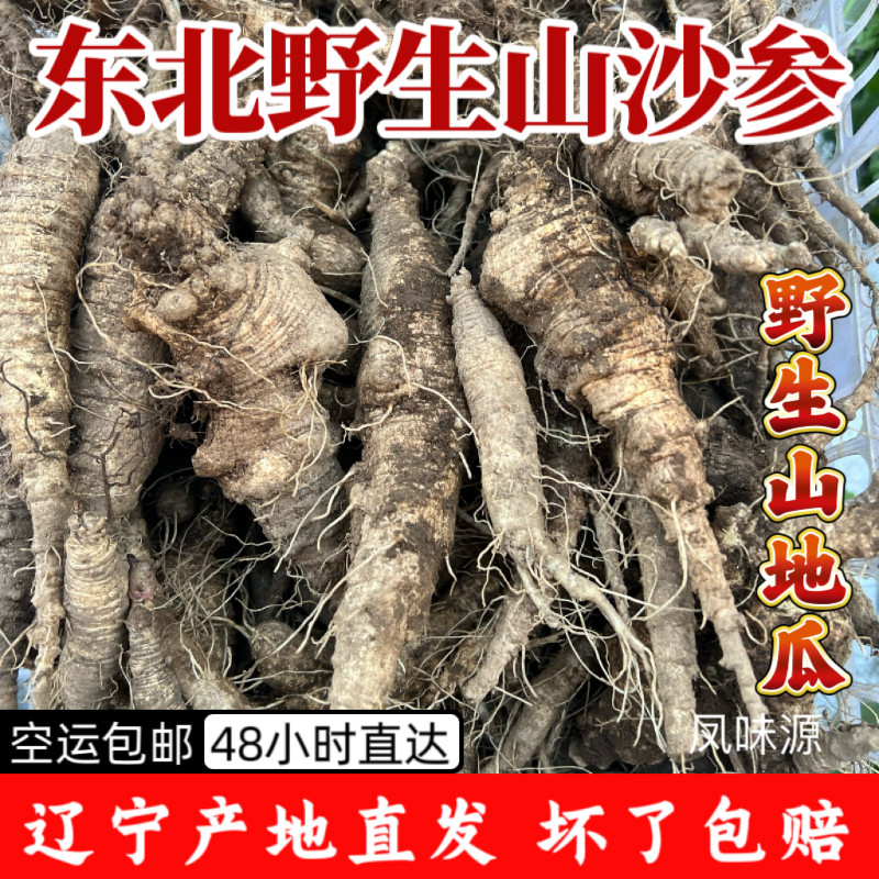 东北野生山地瓜山胡萝卜时令即食沙参拌凉菜扒皮桔梗顺丰包邮
