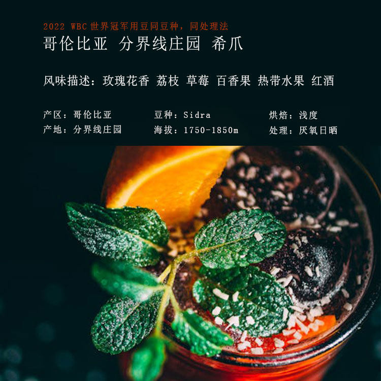 哥伦比亚分界线庄园希爪厌氧日晒咖啡豆