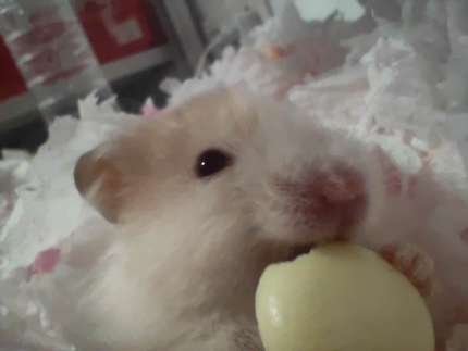 纸制品定制链接，需与客服确认参数后拍付