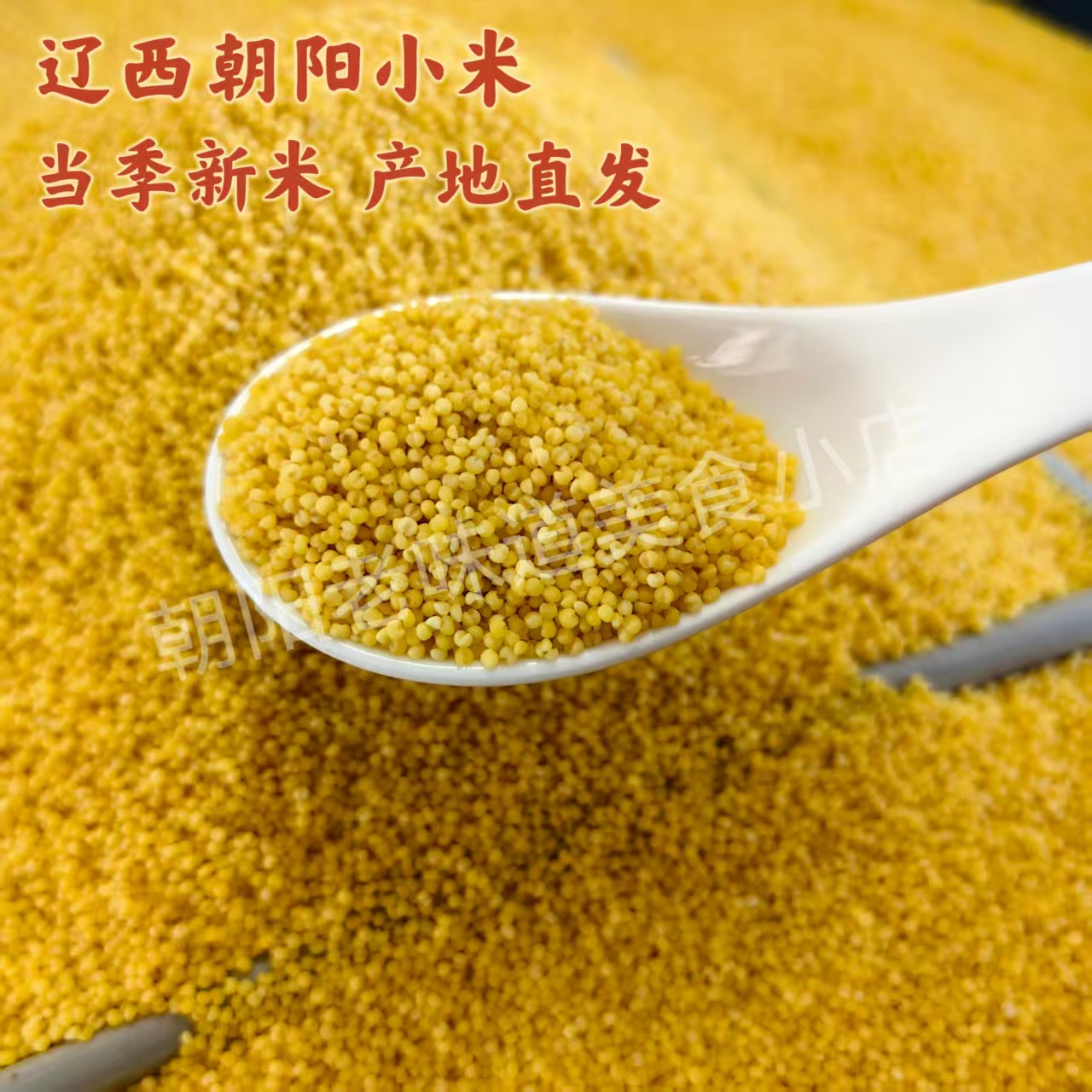 朝阳黄小米金苗K1散装2025年新米