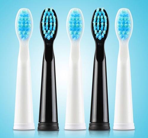 赛嘉sg-899电动牙刷头g22e5