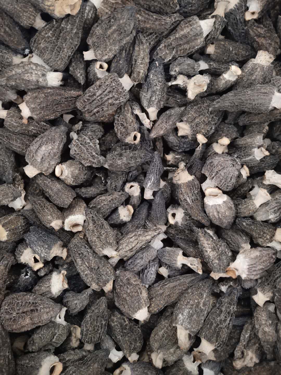 羊肚菌 干货 250g在类目 粮油米面/南北干货/调味品, 南北干货/肉类干货, 干货/土特产, 香菇类中 - 来自Buy2taobao.com提供专业的淘宝代购服务