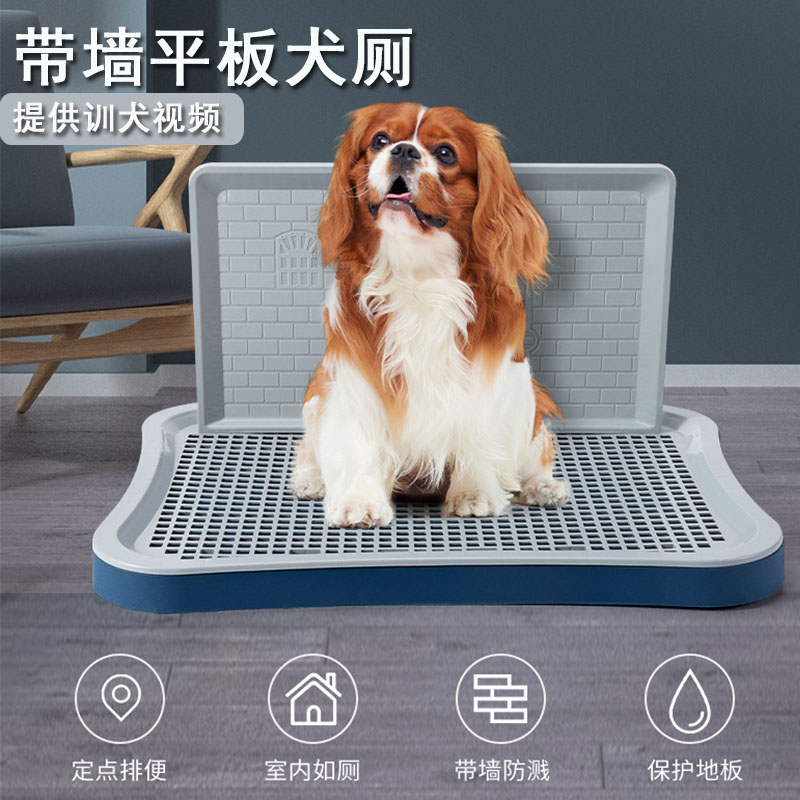 狗狗便盆定点入厕省心省力