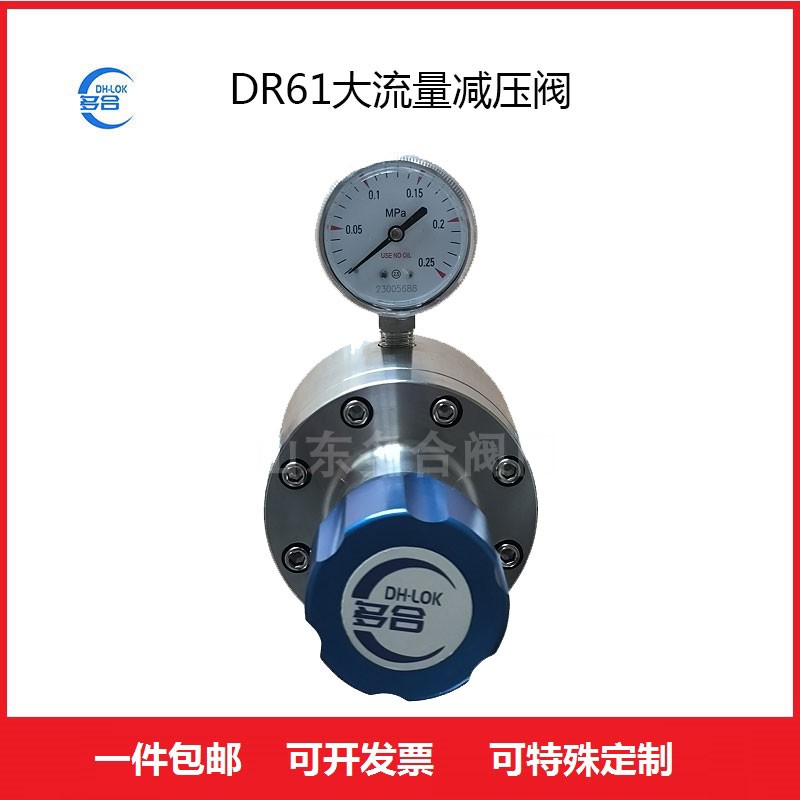 DH-LOK不锈钢大口径气体减压阀