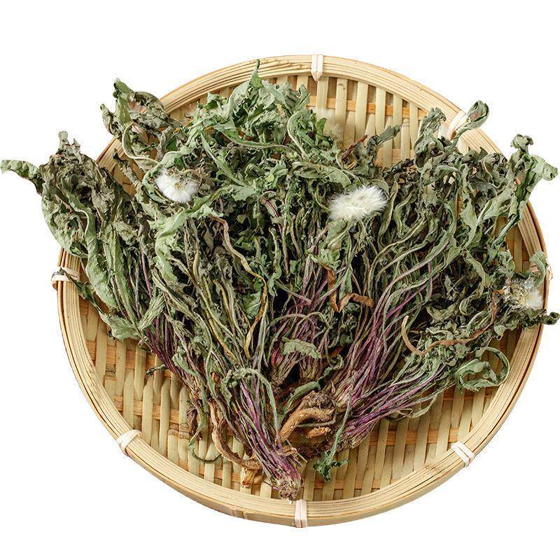 全株蒲公英野生整根蒲公英茶中草药材女性新鲜浦公英干货