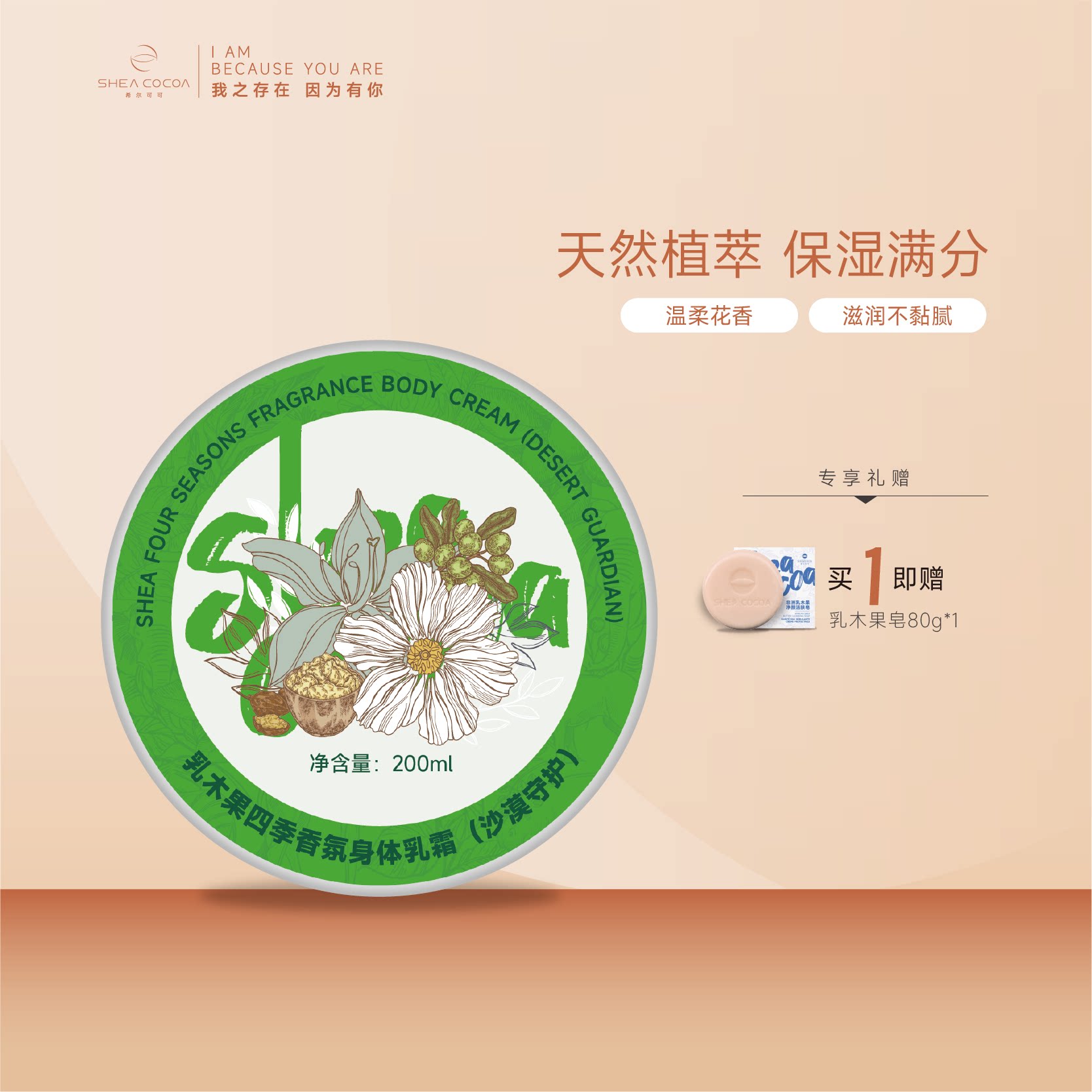 希尔可可乳木果油身体乳