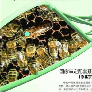 中蜜一号蜜蜂种王蜂王 高产王  抗螨蜂王产卵王 现货 包活包邮