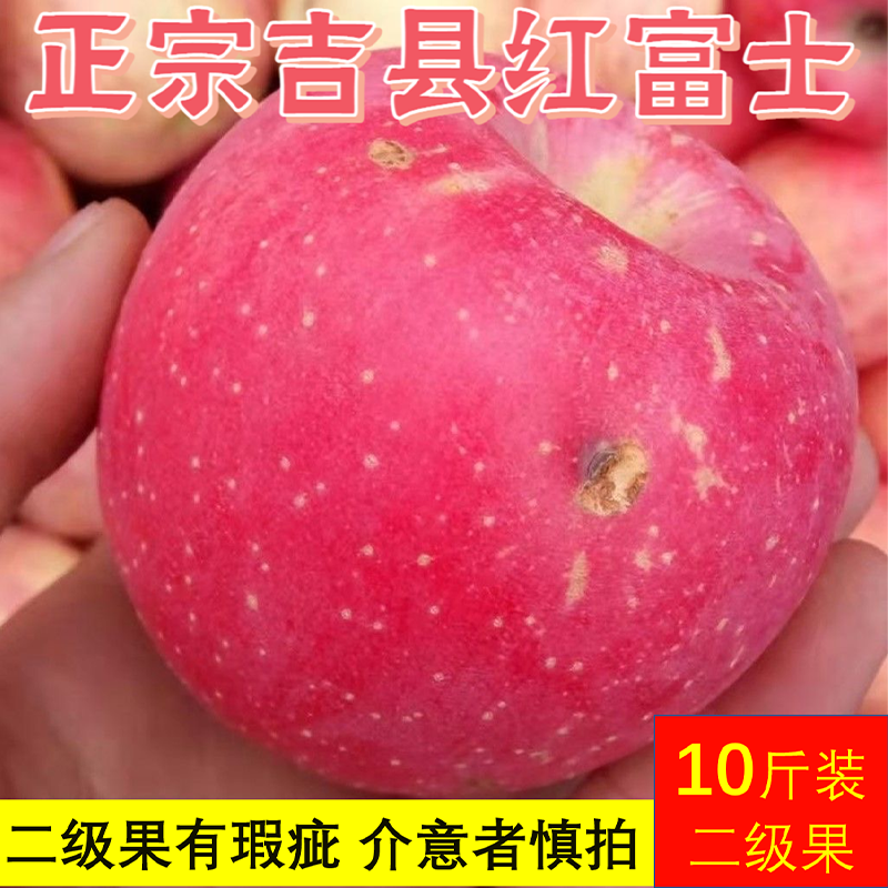 山西吉县壶口红富士苹果当季二级新鲜水果非冰糖心瑕疵果整箱礼盒