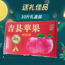 山西吉县壶口红富士苹果正宗当季 脆甜 新鲜水果非冰糖心10斤礼盒装