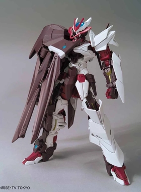 兽虎模型 HG HGBD 1:144 无名异端 红色异端 012 拼装模型带支架