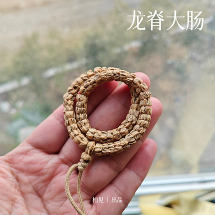 龙脊大肠  龙脊纹狂鬼原皮脏脏热振斜切大肠百香籽单圈手串柏香籽