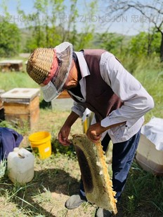 槐花蜂蜜 十几年坚持 枣花 良心蜂 蜂巢蜜 每年仅三个月售卖期