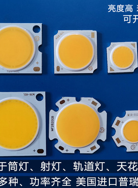 led灯芯筒灯轨道灯LED射灯嵌入式灯芯替换24瓦COB灯珠高亮20W30W