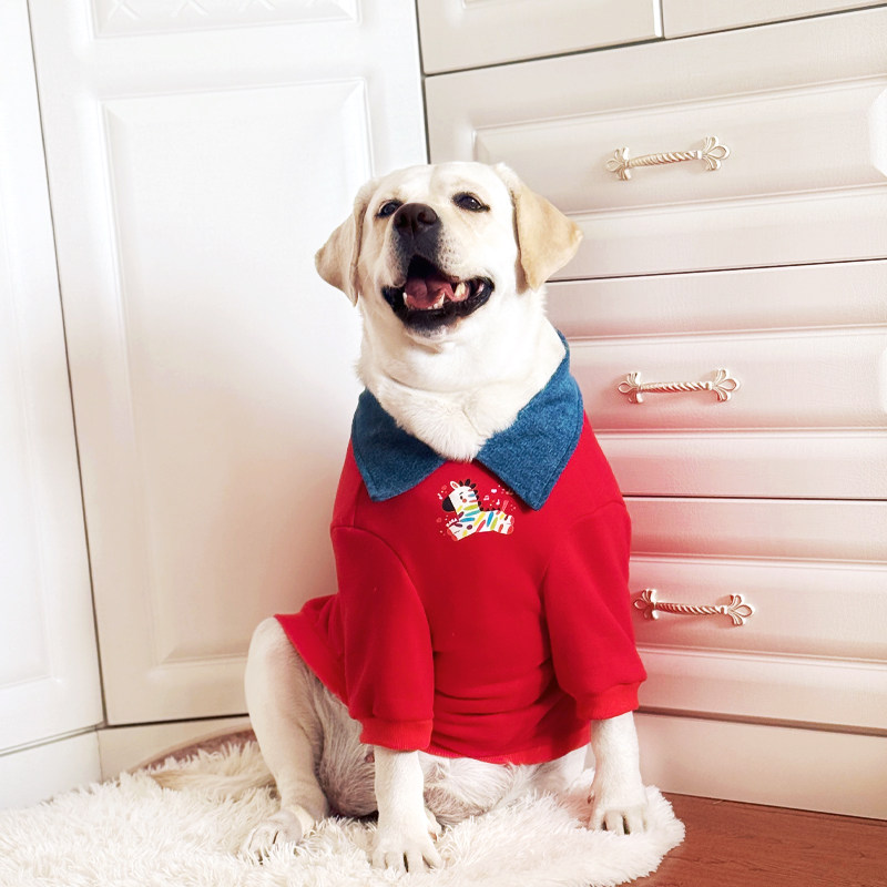 大型犬衣服拉布拉多金毛新年衣服马年喜庆过年保暖冬宠物加绒衣服,宠物/宠物食品及用品,狗宠物服装/雨衣,淘宝优惠券,粉丝福利购,淘宝优惠卷