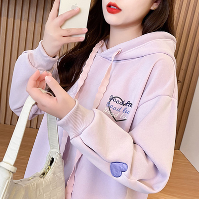 高级感连帽刺绣卫衣女春秋2025新款设计感小众独特漂亮减龄款上衣