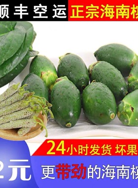 海南陵水新鲜生青槟榔果现摘鲜嫩槟榔100克散装 带配料原产地发货