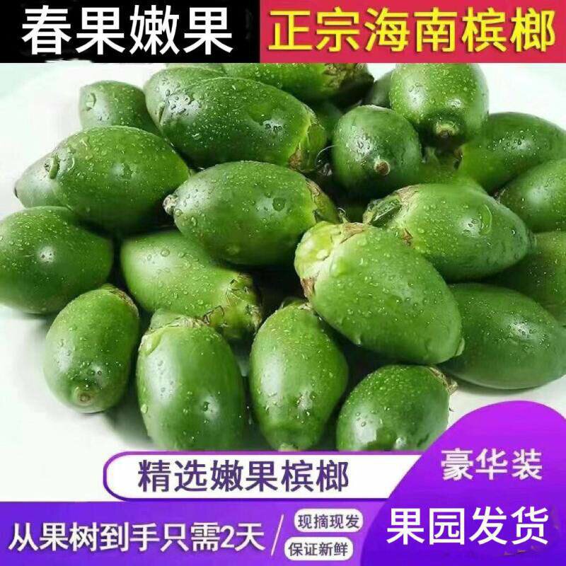 海南青槟榔散装生槟榔果嫩仔新鲜槟榔现摘果地直发1斤带配料包邮