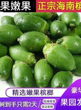 海南散装新鲜槟榔包邮