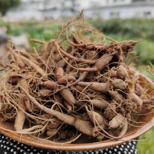 贵州农产品新鲜红活麻根农产品红线麻红禾麻小红麻红火麻501克