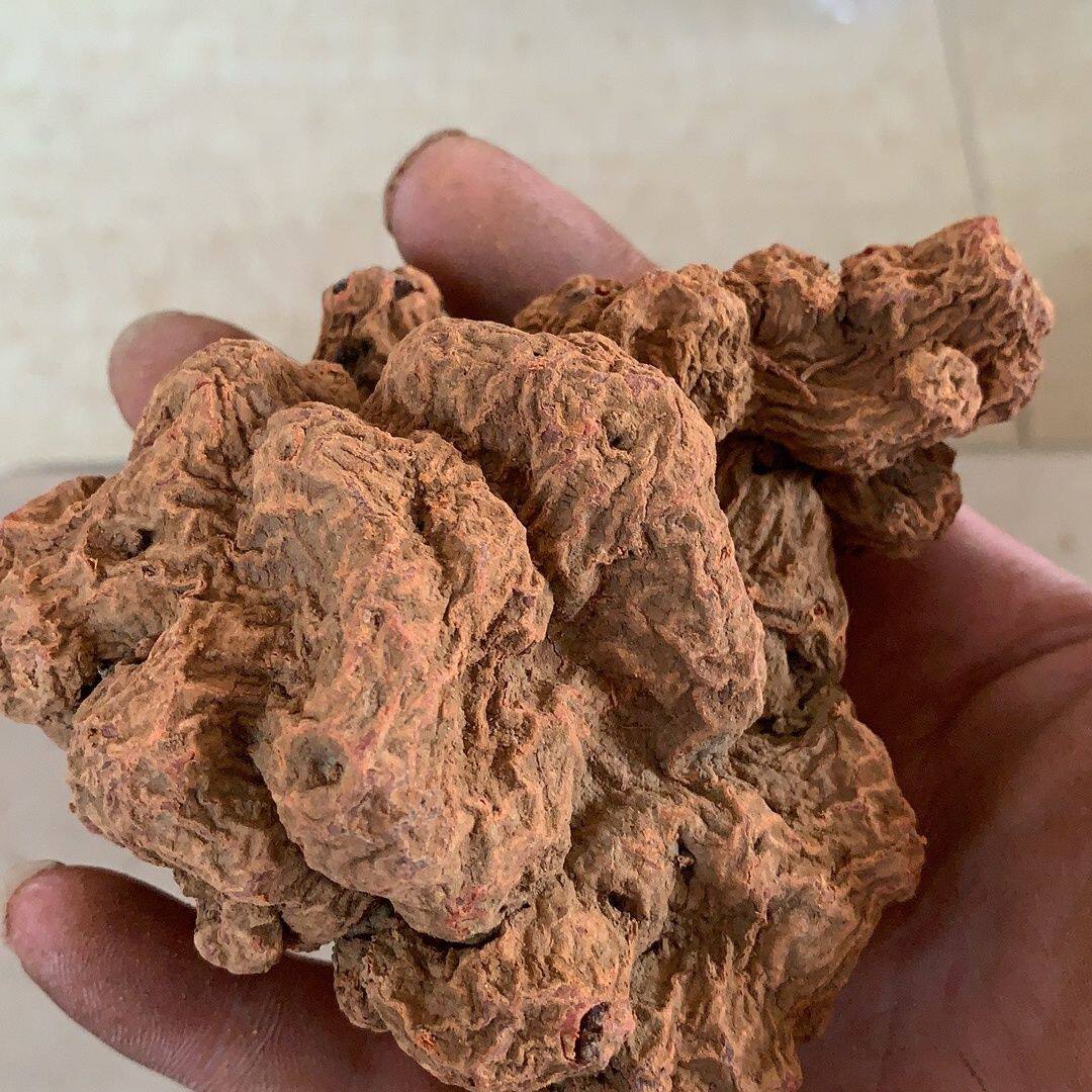 中药材 野生朱砂莲250g 正品朱砂连 牛血莲 躲蛇生 雷见怕 包邮