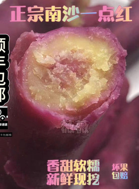 南沙一点红番薯软糯甜现挖地瓜