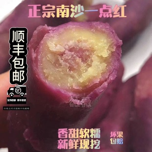 正宗广州南沙一点红番薯现挖新鲜地瓜孕妇营养粗粮甜糯冰激凌红薯