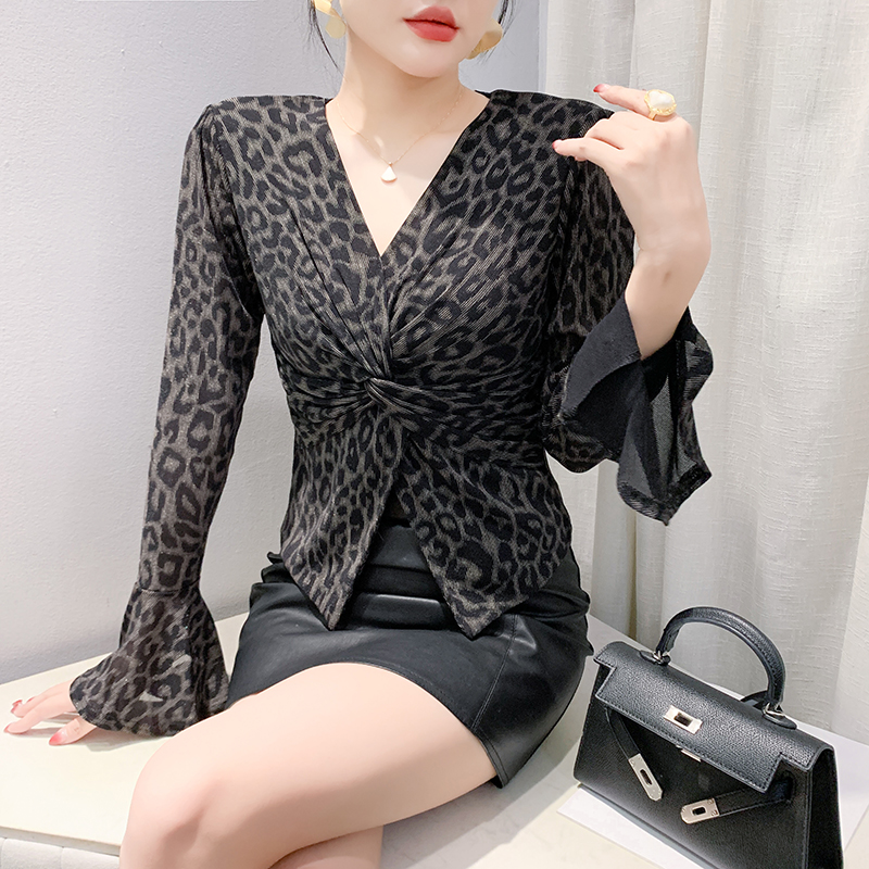 长袖通勤常规性感豹纹V领网纱T恤
