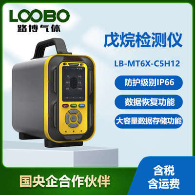 手提便携式戊烷含量检测报警仪泵吸式戊烷浓度分析测试仪