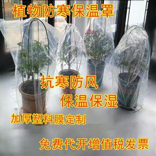 塑料膜透明户外套果树防冻防寒树罩布植物保温袋花卉绿植盆栽过冬