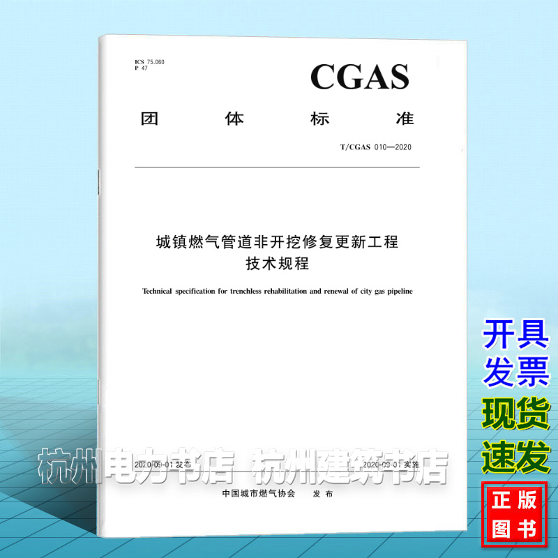 T/CGAS 010-2020城镇燃气管道非开挖修复更新工程技术规程