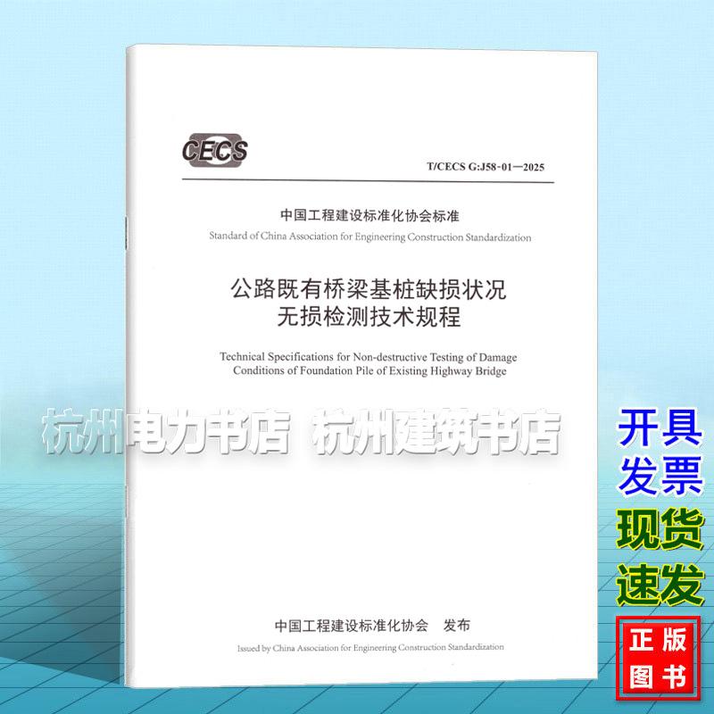 公路既有桥梁基桩缺损状况无损检测技术规程（T/CECS G：J58-01—2025）