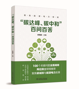 百问百答 碳中和 宋海良主编能源电力领域实现双碳目标 意义路径政策技术市场解读 碳减排实践书 能源电力规划监管 碳达峰