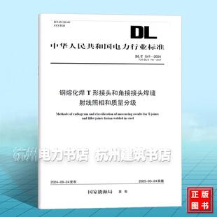 2024 541 钢熔化焊T形接头和角接接头焊缝射线照相和质量分级 代替DL 2014
