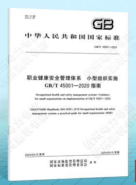 GB/T 45007-2024职业健康安全管理体系 小型组织实施GB/T 45001-2020指南