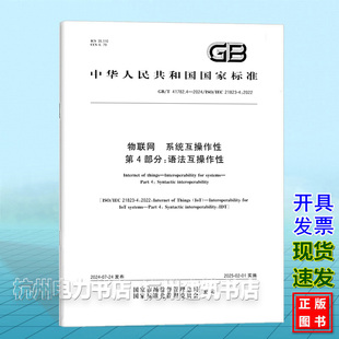 系统互操作性 2024物联网 41782.4 第4部分：语法互操作性