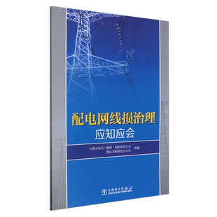 配电网线损治理应知应会