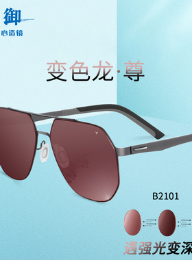御B2101变色龙钓鱼偏光太阳镜感光变色增晰看漂过滤水面反光强光