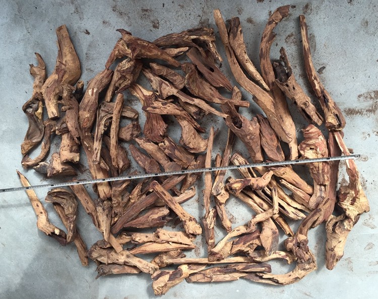 海南黄花梨手串紫色油梨木料海黄工艺木料海黄根料海黄雕刻摆件木